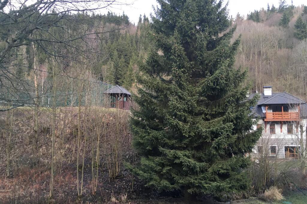 Villa Vykmanov Medenec ภายนอก รูปภาพ